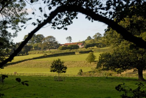 Sleightholmedale, Fadmoor, North Yorkshire