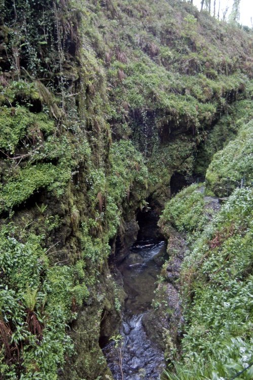 Lydford Gorge