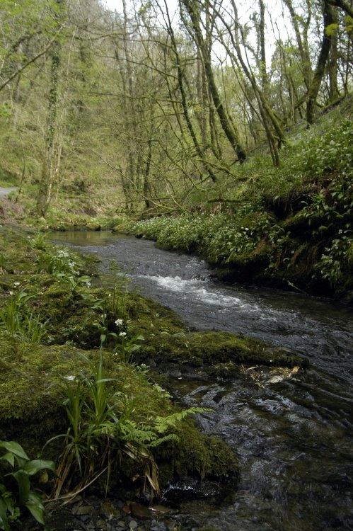 Lydford Gorge