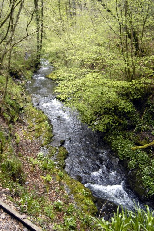 Lydford Gorge