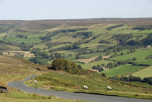 North York Moors