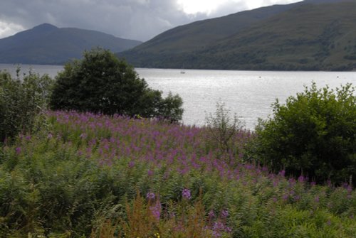 Loch Linnhe