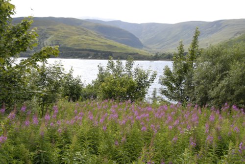 Loch Linnhe