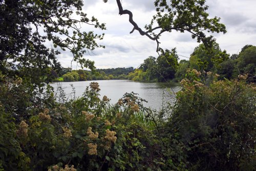 Mote Park, Maidstone