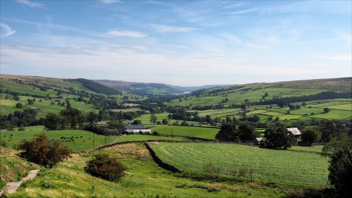 From a Bench at Middlesmoor