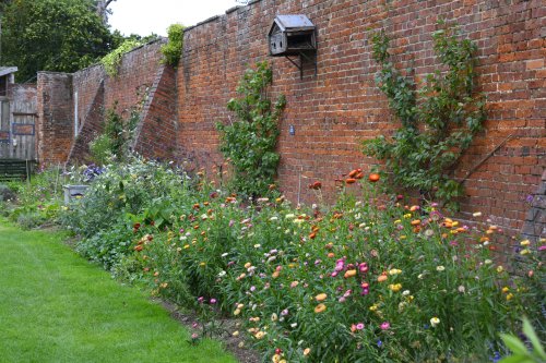 Berrington House walled garden