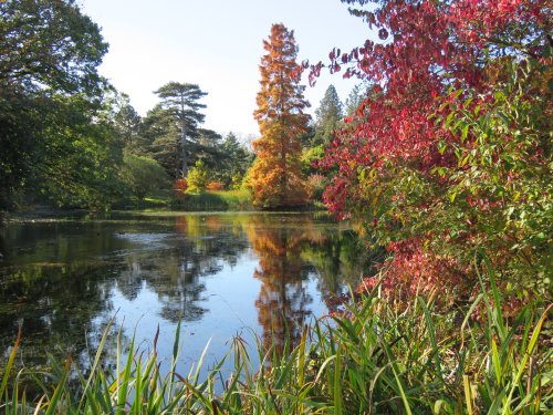 Kew Gardens