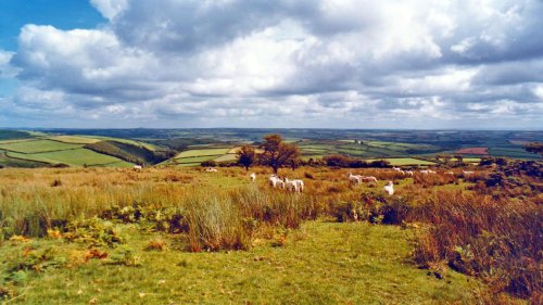 Exmoor above Molland