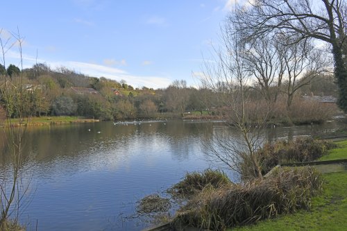 Capstone Country Park