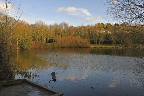 Capstone Country Park