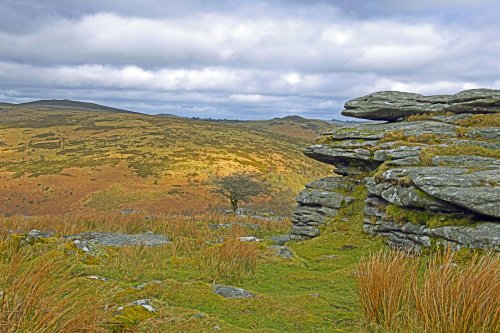 DartmoorNational Park