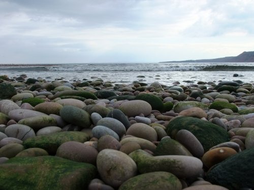 Pebbles of Budleigh