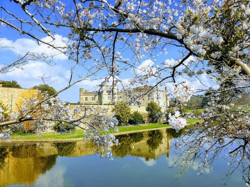 Spring at Leeds Castle