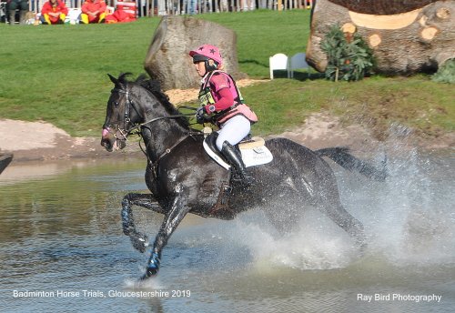 Badminton Horse Trials, Gloucestershire 2019