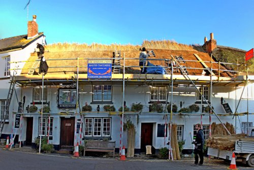 East Budleigh hair trim