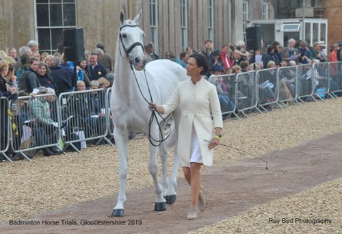 Badminton Horse Trials, Gloucestershire 2019