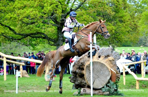 Badminton Horse Trials, Gloucestershire 2019