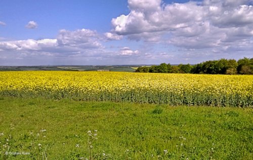 North Dorset Trailway