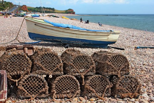 Budleigh crab pots