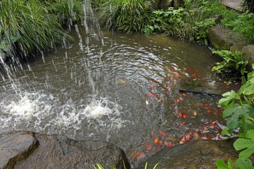 Wingham Wildlife Park