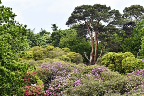 Sheringham Park