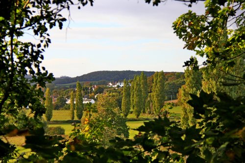 East Budleigh view