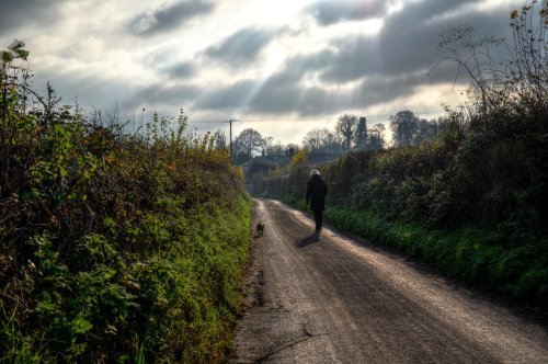 Frogmore Road walk