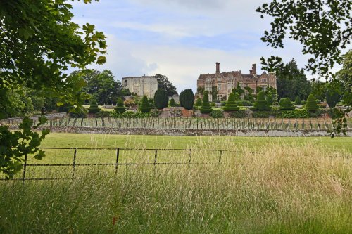 Chilham Castle Grounds