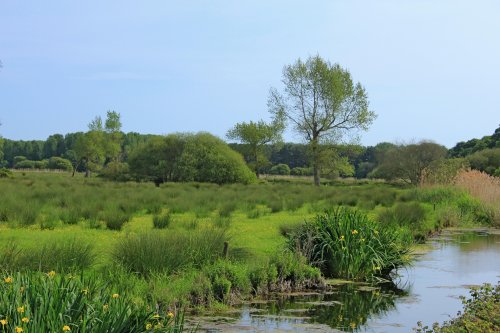 The River Otter Valley