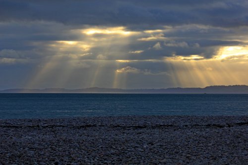 Budleigh in blue