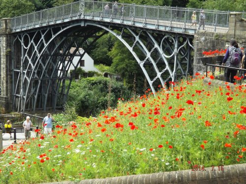Iron Bridge with poppies