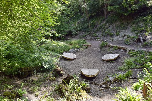 Walmer Castle Garden - the glen former chalk pit