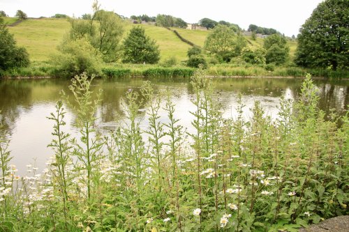 Ball Pond Nature Reserve