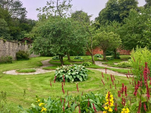 Hostas and Maze