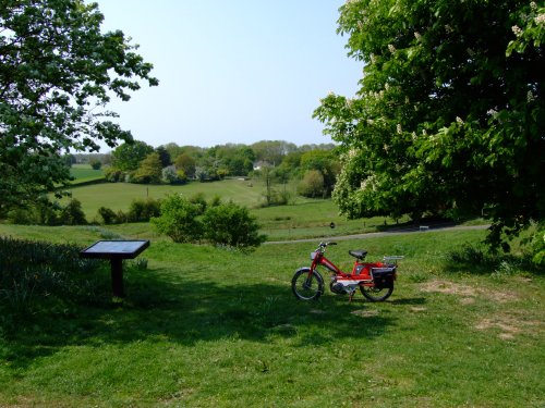 Shotesham Village Green