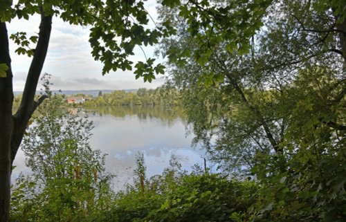 Leybourne Lakes Country Park