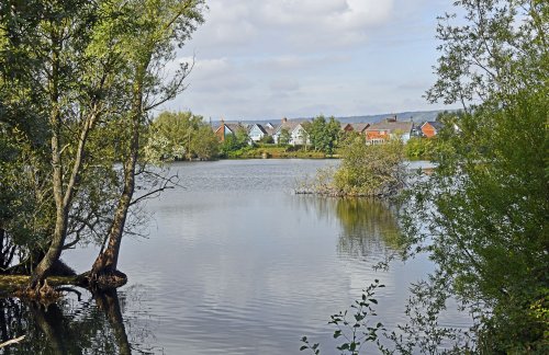 Leybourne Lakes Country Park