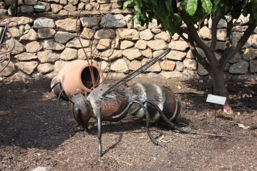 Eden Project