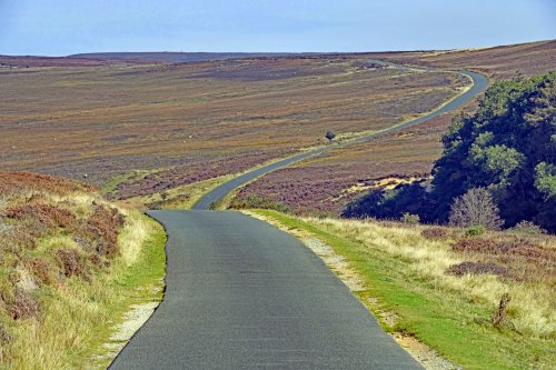 Spaunton Moor