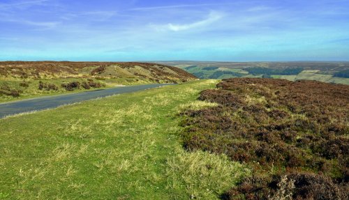 Spaunton Moor