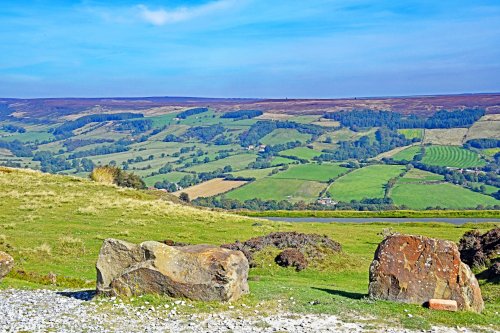 Spaunton Moor