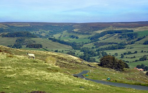 Spaunton Moor