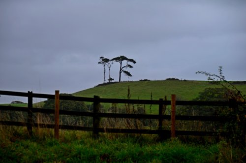 The Firs on the hill