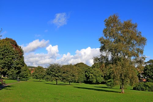 Budleigh Salterton Green