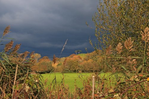 Budleigh Salterton