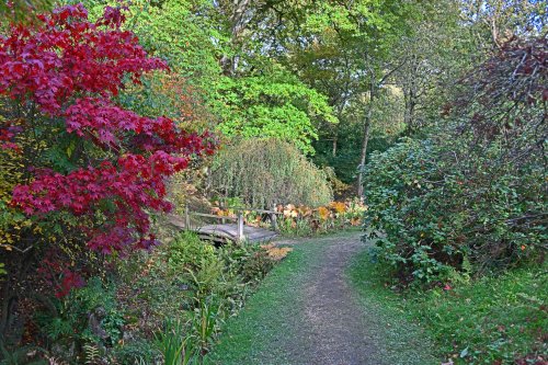 Ramster Gardens,  Chiddingfold