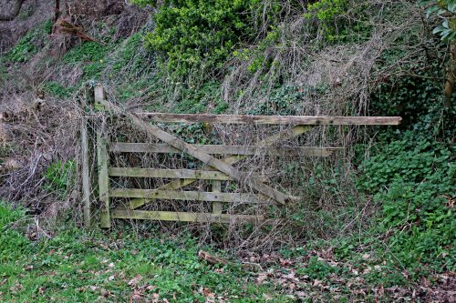 Budleigh's broken gate