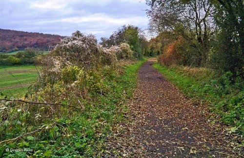 North Dorset Trailway Nov. 2019