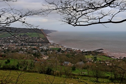 Sidmouth from high