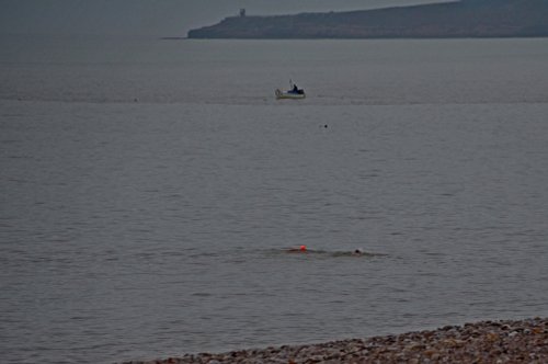 Budleigh swimmers